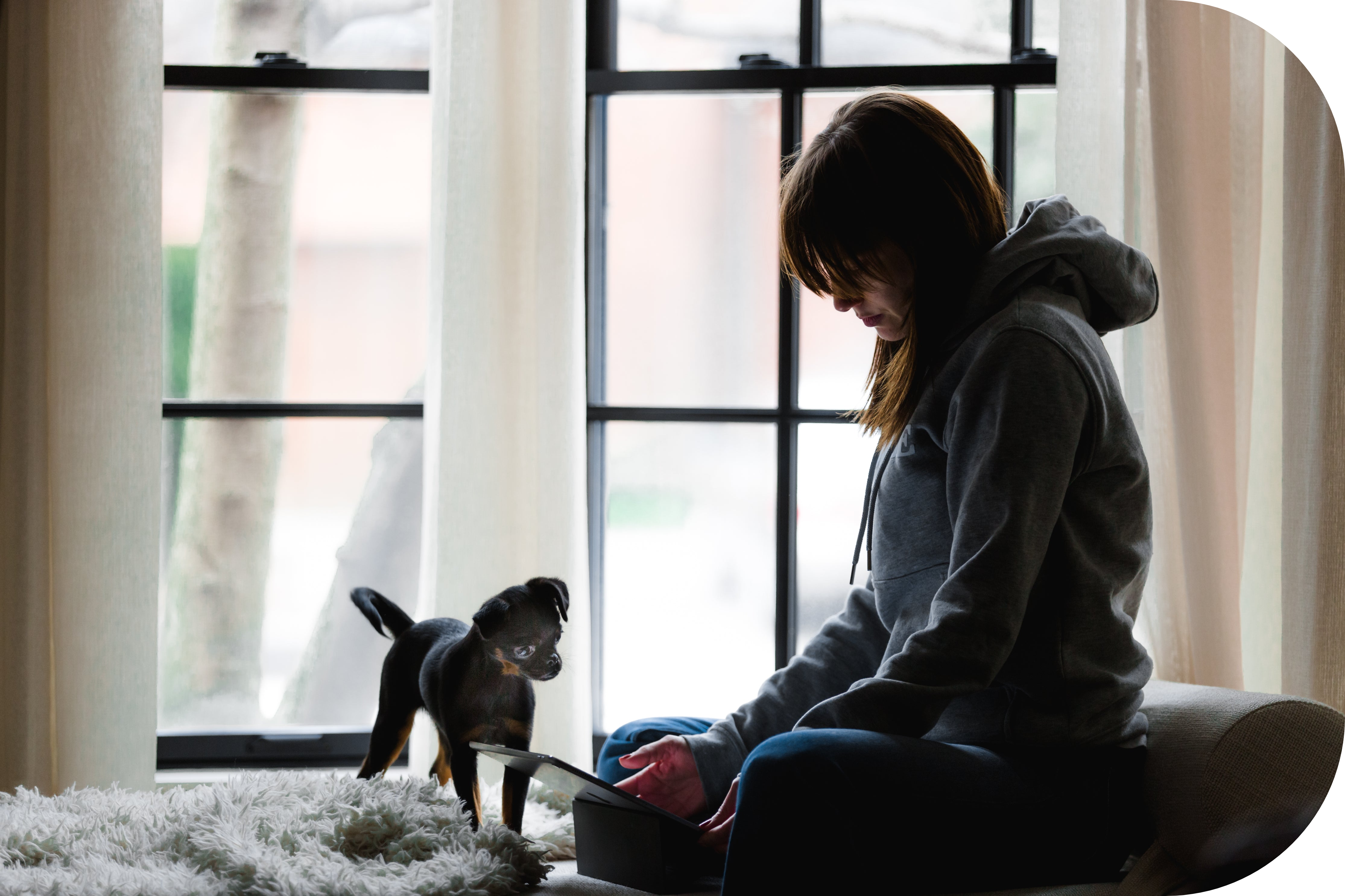 女性と犬の写真